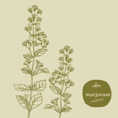 elle çizilmiş çim baharat