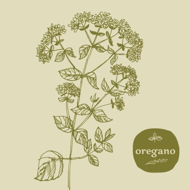 yemek prepearing kullanılan çim