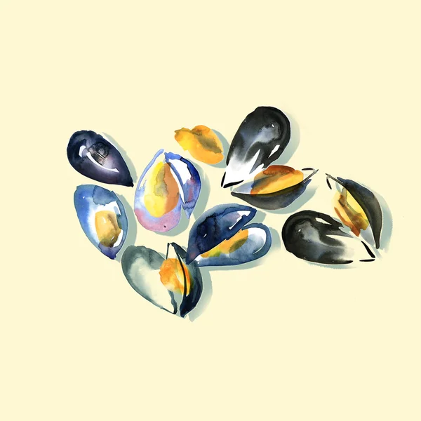 Akvarell kézzel rajzolt kagyló — Stock Fotó