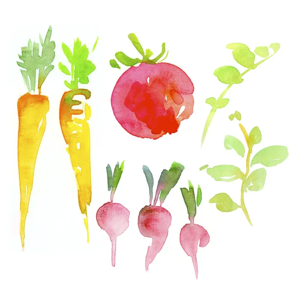Verduras frescas acuarela ilustración — Foto de Stock