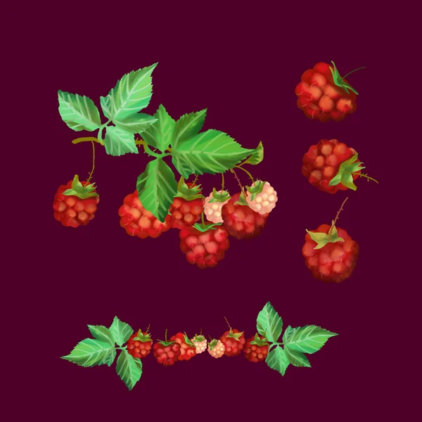 Цифровая иллюстрация красной малины — стоковое фото