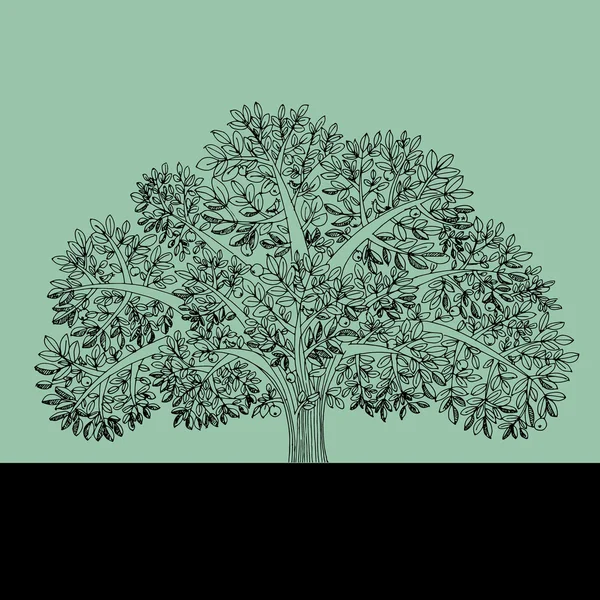 Apfelbaum gezeichnet — Stockvektor