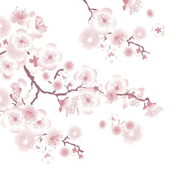 Beyaz ağaç çiçek tasarım öğesi. cappl vektör çizim