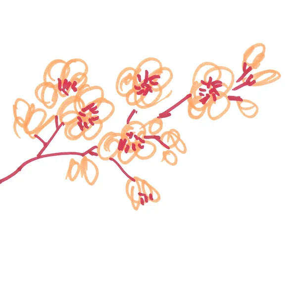 Jednoduché třešňový květ skica rastrový obrázek — Stock fotografie