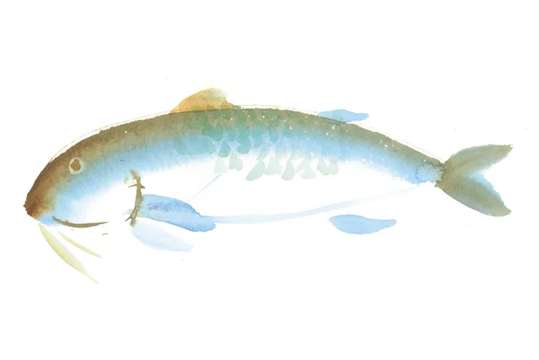 Велика риба акварельна рука намальована ілюстрація — стокове фото