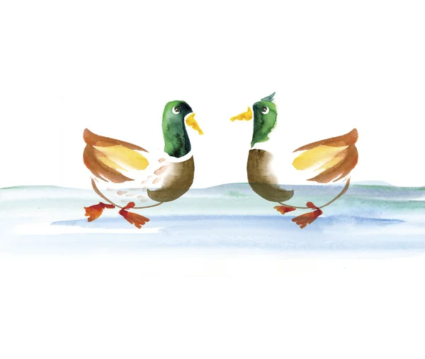 Su ördek suluboya el çizilen illüstrasyon — Stok fotoğraf