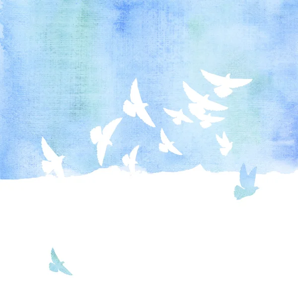 Pigeon in the sky watercolor hand drawn illustration — Stock Photo, Image