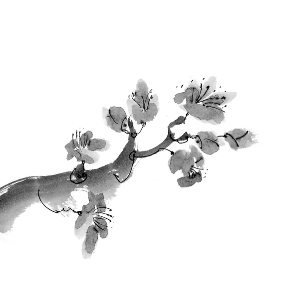 Elegant ink blossom watercolor illustration — Stock Photo, Image
