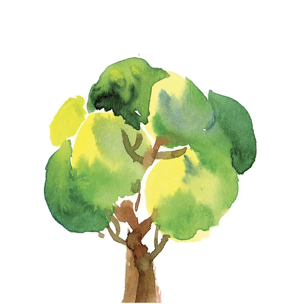 Ilustrasi cat air pohon hijau sehat — Stok Foto