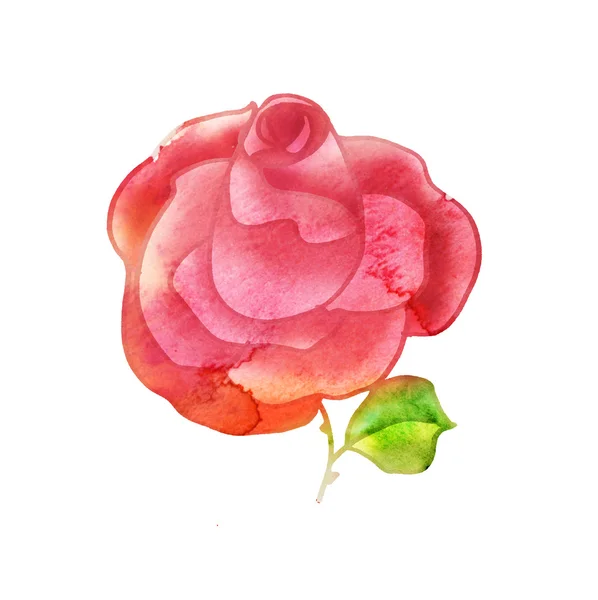 Rote Farbe Aquarell gemalt rosa — Stockfoto