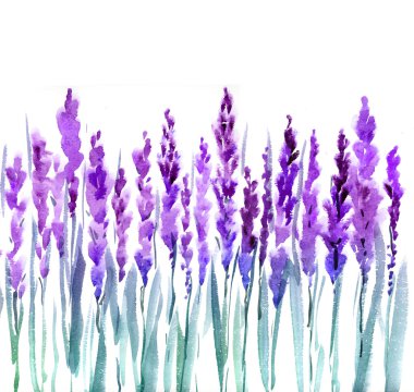 Lavanta suluboya resim