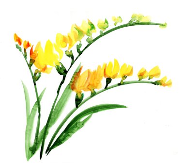 el yapımı suluboya tasarım öğesi