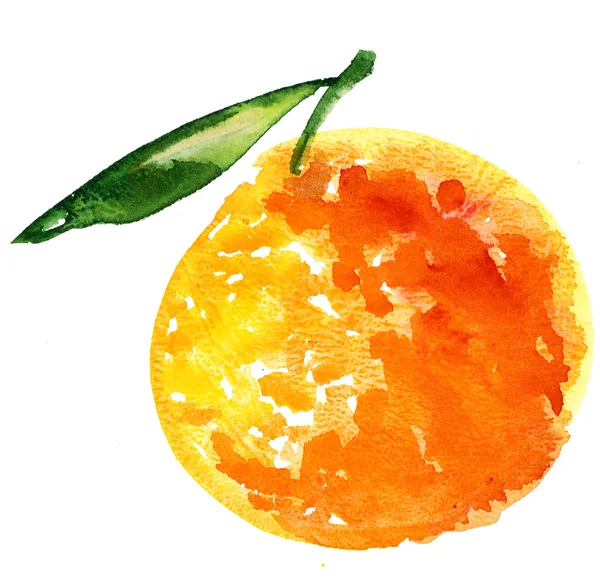 Ilustración pintada a mano de fruta naranja — Foto de Stock