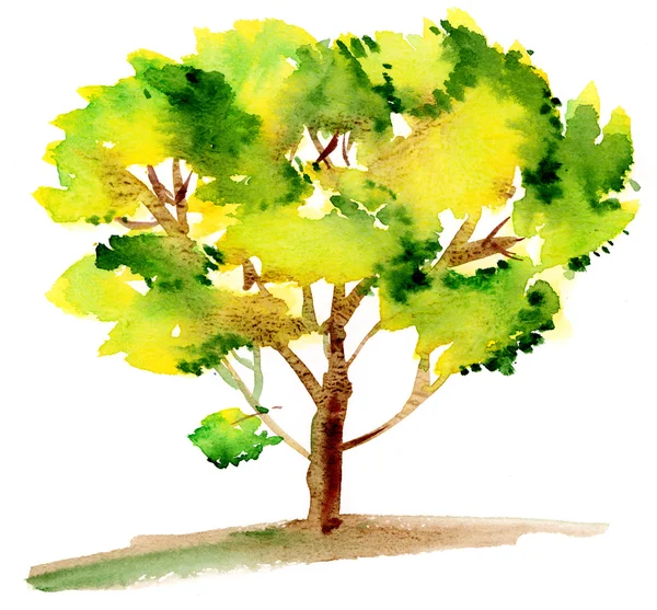 Aquarelle artisanale arbre vert — Photo