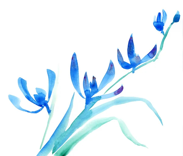 Watercolor Orchid illustration — Stock Photo, Image