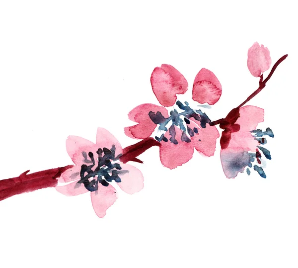 Ручної роботи вишнева вишня гілка — стокове фото