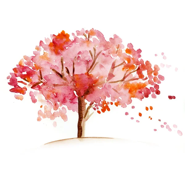 手工制作玫瑰颜色开花的树 — 图库照片