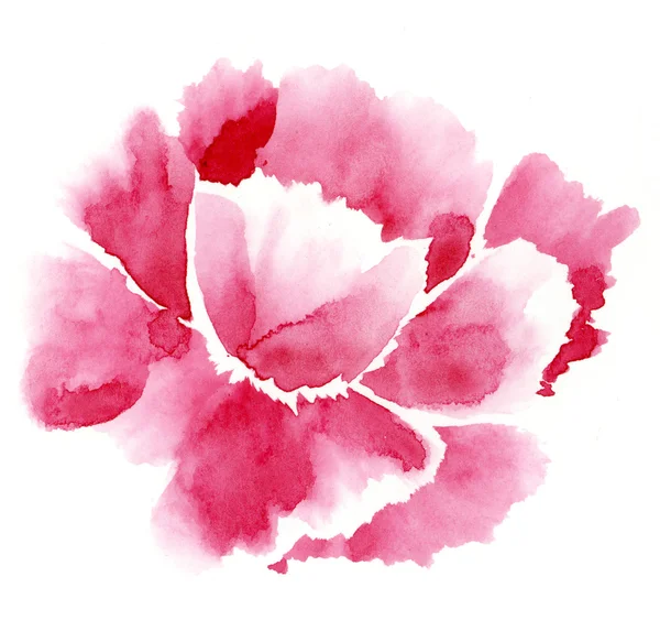 Handmade Watercolour tender red flower — Stock Photo, Image