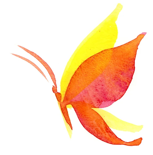 Pillangó kézzel akvarell design elem — Stock Fotó