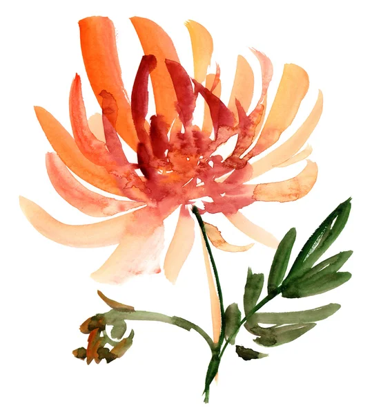 Acquerello fiore arancione — Foto Stock