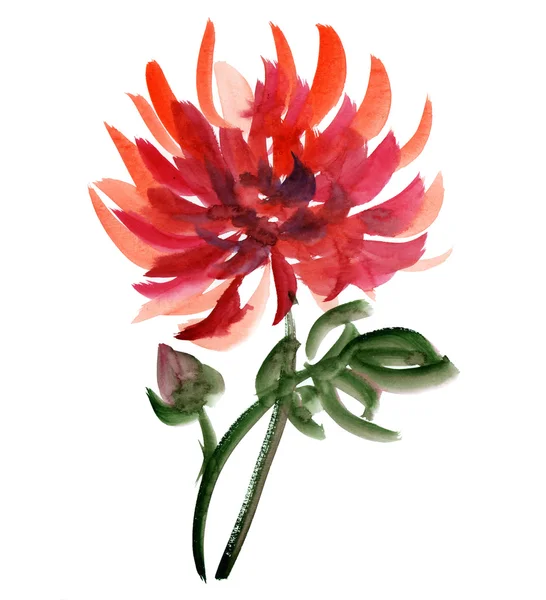 Aquarell rote Blume — Stockfoto