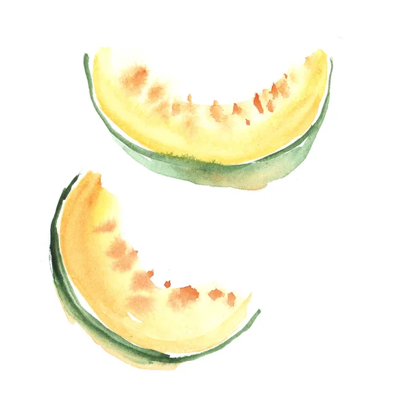 Kézzel rajzolt ábrán sárgadinnye gyümölcs. akvarell, ékszer — Stock Fotó