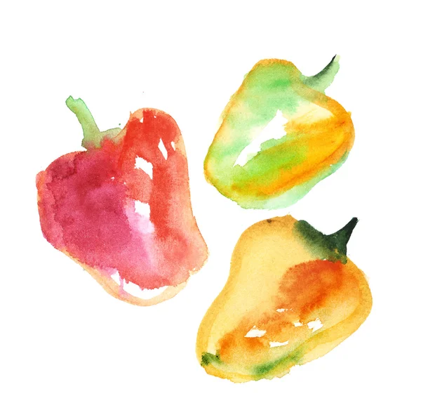 Ručně tažené ilustrace sladké paprica zeleniny. Akvarel — Stock fotografie