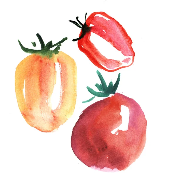 Akvarel kresba. ručně kreslenou červené rajče ilustrace zelenina — Stock fotografie