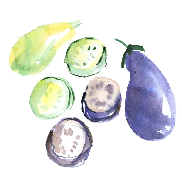 Akvarel kresba. ručně tažené squash a lilku ilustrace — Stock fotografie