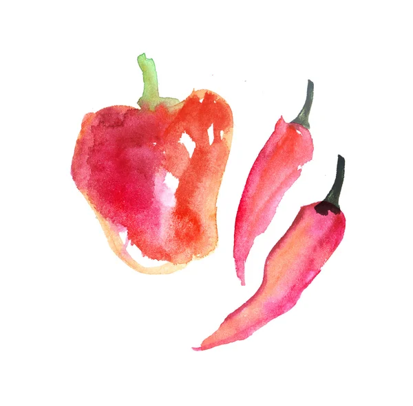甘いパプリカ野菜の描かれたイラストを手します。水彩 — ストック写真