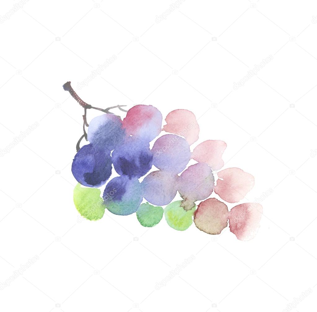Rosy grape watercolor sketch. hand drawn wine bunch of grapes — Stock
