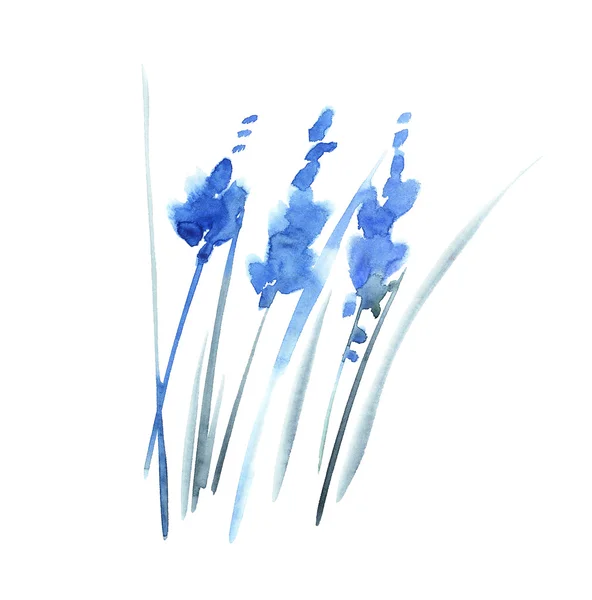 누추한 세련 된 블루 꽃 그림입니다. 수채화 손으로 그린입니다. — 스톡 사진