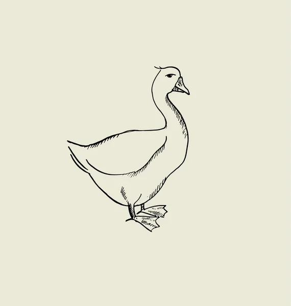 Uma imagem de ganso. ilustração do vetor do esboço desenhado à mão do alimento . — Vetor de Stock