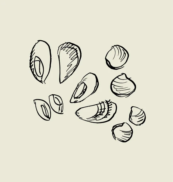 Moule, et icône de coquille. nourriture dessiné à la main croquis vectoriel illustrat — Image vectorielle