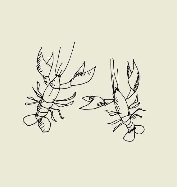 Gambar lobster terisolasi. gambar gambar gambar tangan makanan vector illustrati - Stok Vektor