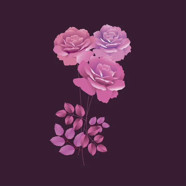 Roses décoratives violettes sur fond noir. illustration vectorielle — Image vectorielle