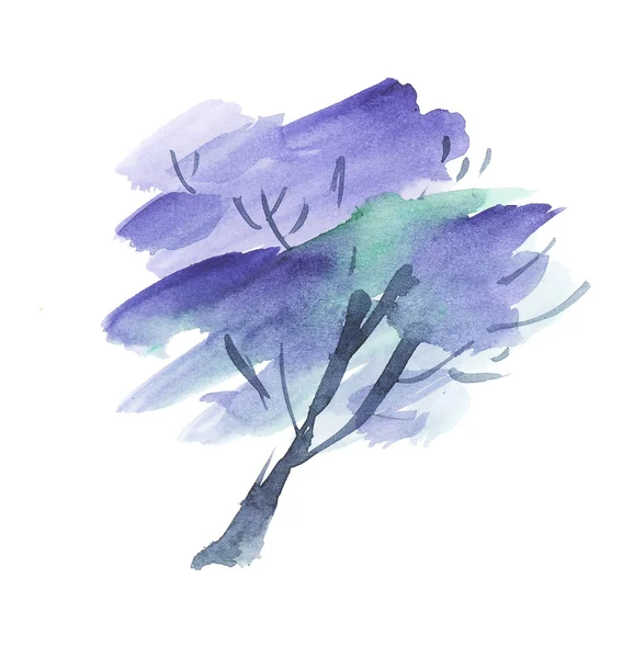 Arbre Jacaranda peint fleurissent. aquarelle dessinée à la main illustrati — Photo