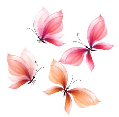 süslü kelebek tasarım öğeleri kümesi. çizilmiş şekil ver. WA