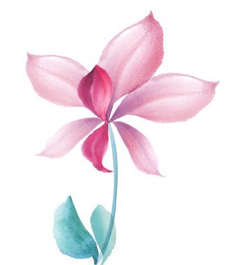 süslü orkide çiçek tasarım öğesi. çizilmiş şekil ver. WAT