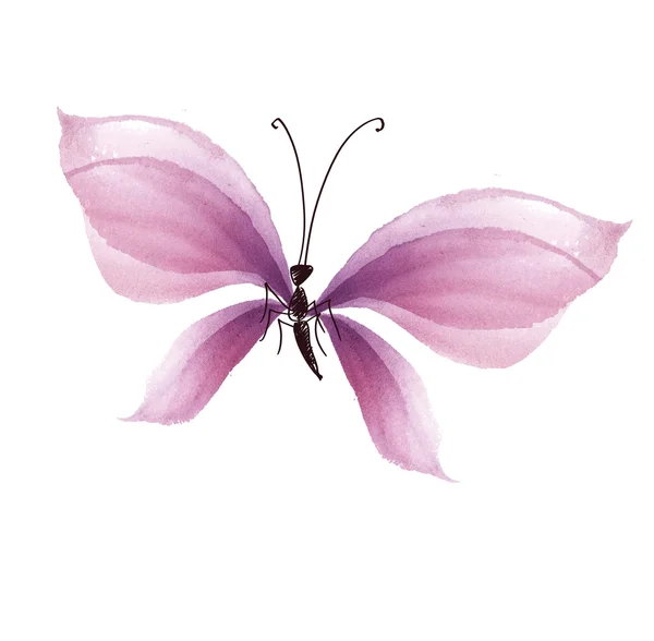 Elegante elemento de diseño de mariposa rosada. ilustración dibujada a mano. ¡Vamos! — Foto de Stock