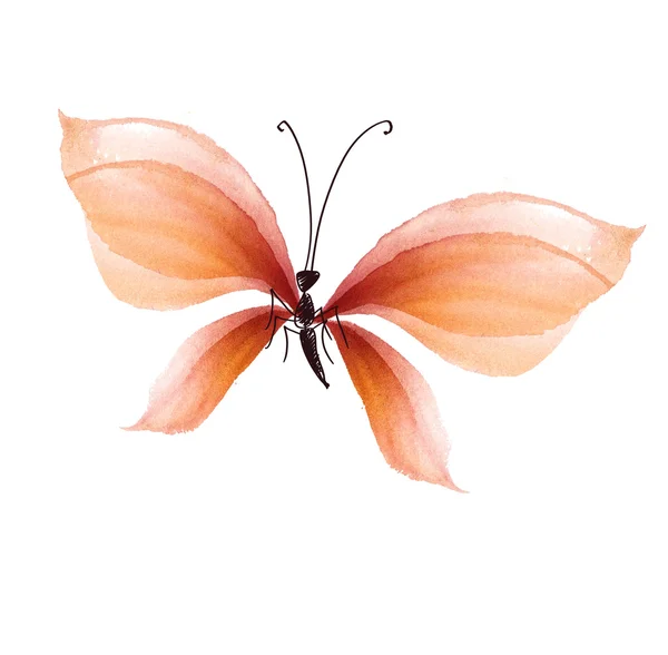 Elemento de diseño de mariposa de lujo. ilustración dibujada a mano. agua co — Foto de Stock