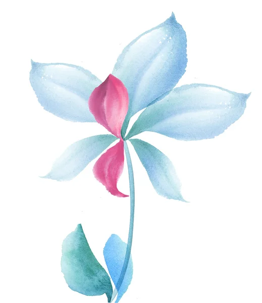 Élément de design floral fantaisie. illustration dessinée à la main. aquarelle — Photo