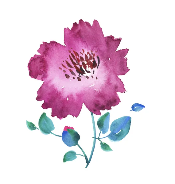 Fleurs abstraites roses vives. illustration dessinée à la main. aquarelle — Photo