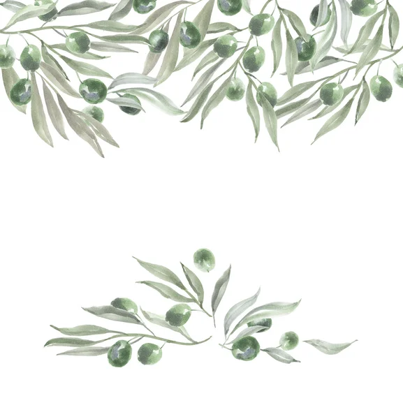 Plantilla de cabecera con aceitunas y hojas. acuarela ilustración — Foto de Stock