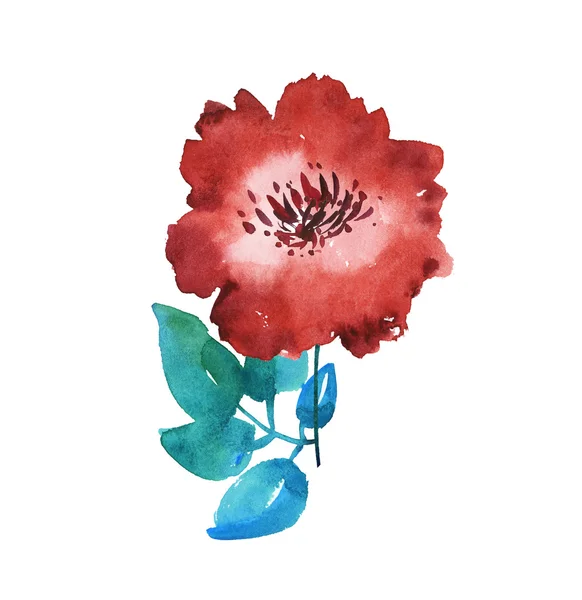 Illustration d'aquarelle florale rouge vif décorative. dessiné à la main — Photo