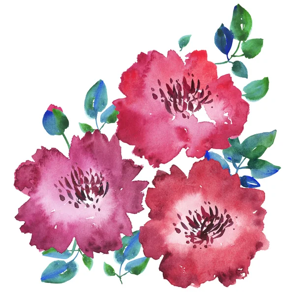 Dekoracyjne jasny czerwony akwarela ilustracja kwiat kwiatowy. ręcznie rysowane — Zdjęcie stockowe