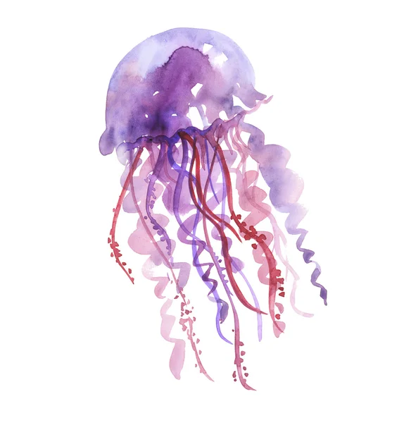 Isolated purple jellyfish watercolor illustration. handmade pain — Stock Photo, Image