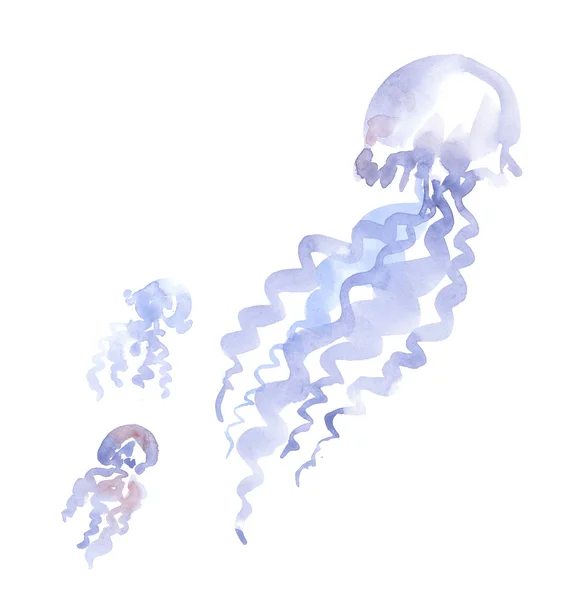 Изолированный бледный цвет нежной медузы акварелью иллюстрации. ha — стоковое фото