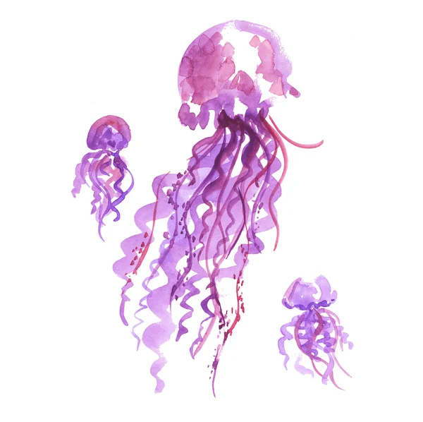 Isolated purple jellyfish watercolor illustration. handmade pain — Stock Photo, Image