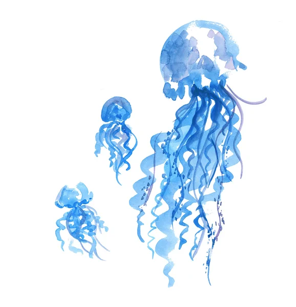 Isolated blue jellyfish watercolor illustration. handmade painti — Stock Photo, Image